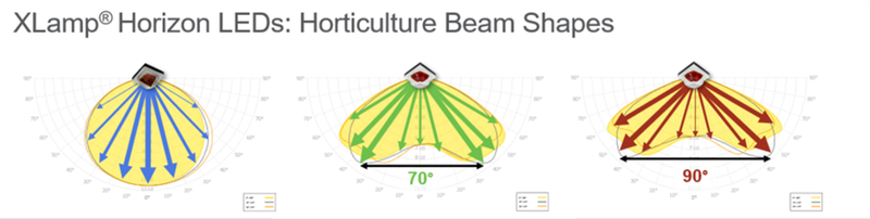 news-1749-441 news-1749-441