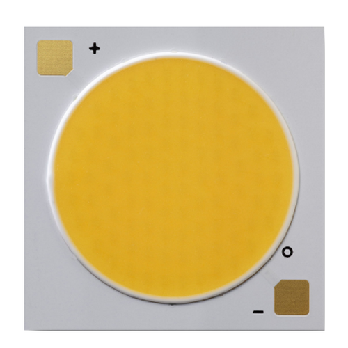 news-402-402 news-402-402